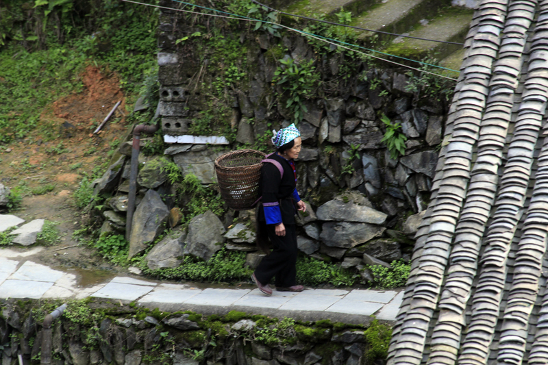 2017-04-12_084430 china-2017.jpg - Longsheng - Pingan - Reisterassen